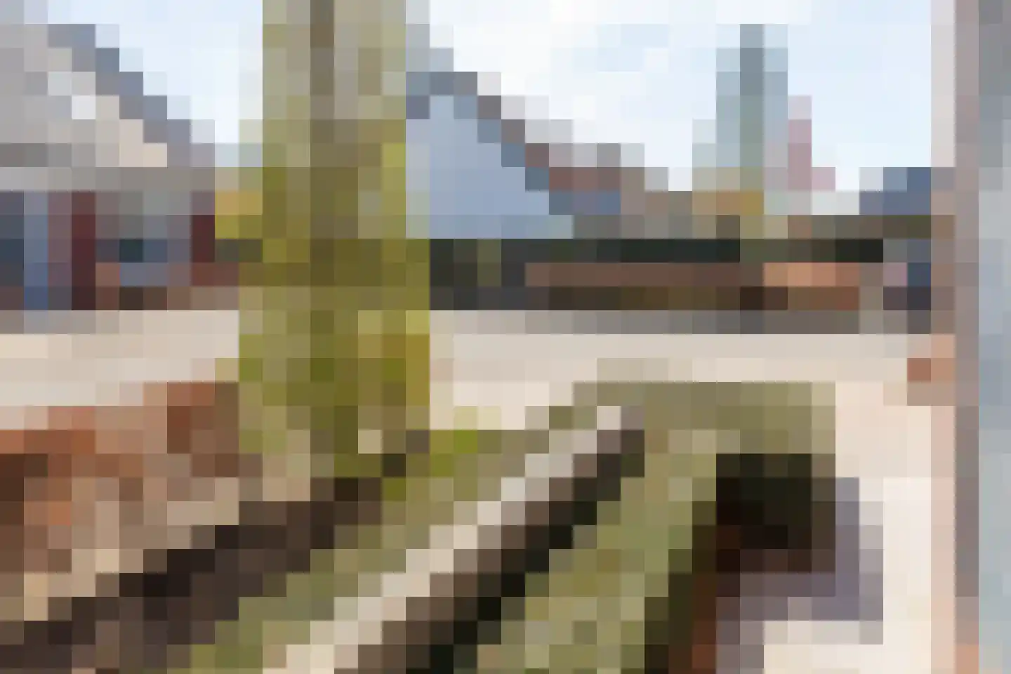 Burgemeester Jhr G A van Nispenstraat 10 Kesteren thumbnail 53