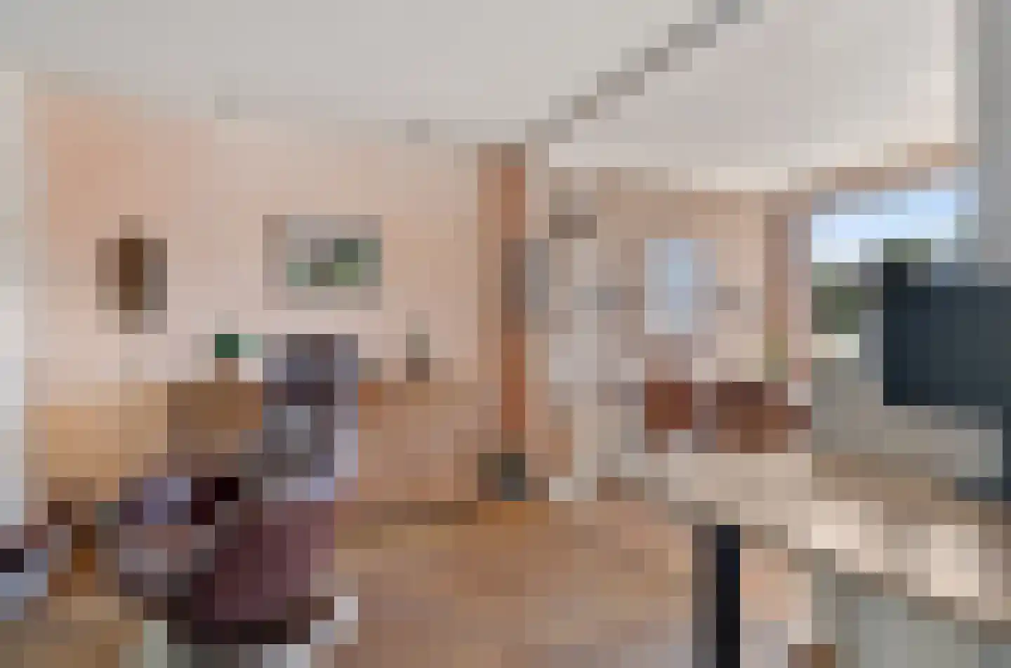 Burgemeester Jhr. H. van Dinterstraat 17 Nootdorp thumbnail 18