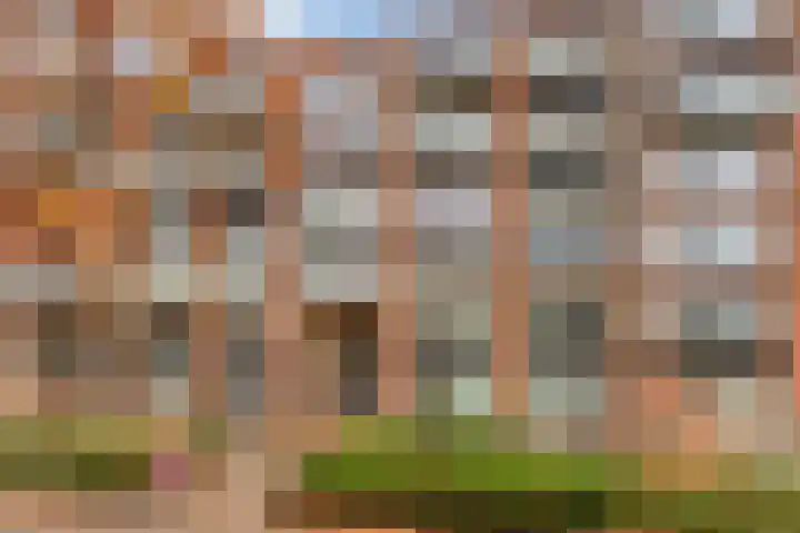Burgemeester Jhr. Quarles van Uffordlaan 385 Apeldoorn thumbnail 28
