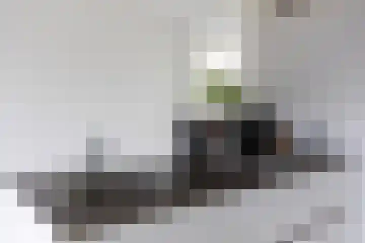 Burgemeester Jhr. Quarles van Uffordlaan 401 Apeldoorn thumbnail 17