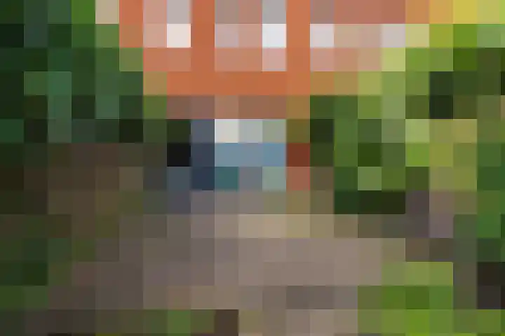 Burgemeester Jhr. Quarles van Uffordlaan 475 Apeldoorn thumbnail 18