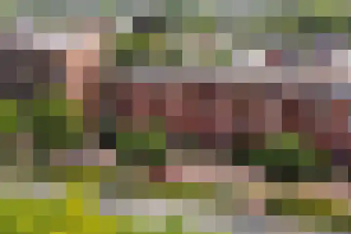 Burgemeester Jhr. Quarles van Uffordlaan 475 Apeldoorn thumbnail 23