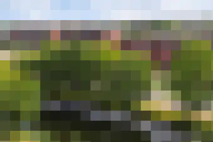 Burgemeester Jhr. Quarles van Uffordlaan 475 Apeldoorn thumbnail 24