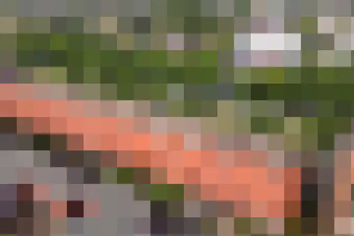Burgemeester Jhr. Quarles van Uffordlaan 475 Apeldoorn thumbnail 26