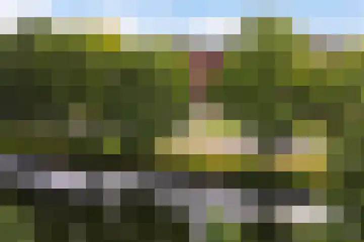 Burgemeester Jhr. Quarles van Uffordlaan 475 Apeldoorn thumbnail 27