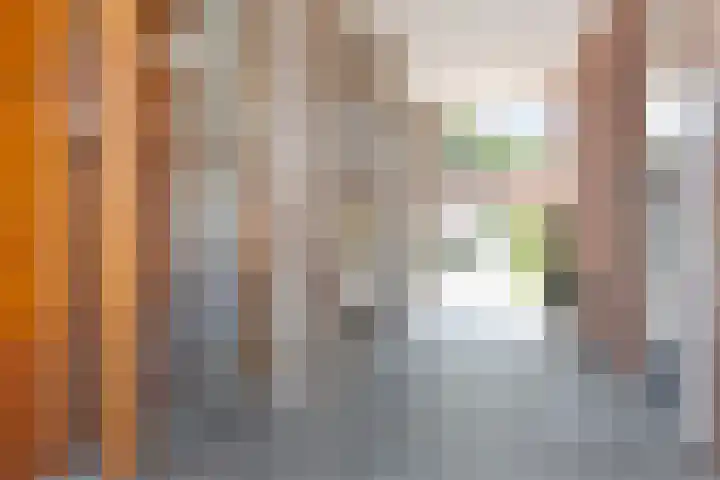 Burgemeester Jhr. Quarles van Uffordlaan 511 Apeldoorn thumbnail 36