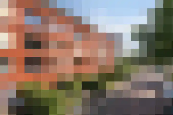 Burgemeester Jhr. Quarles van Uffordlaan 511 Apeldoorn thumbnail 39
