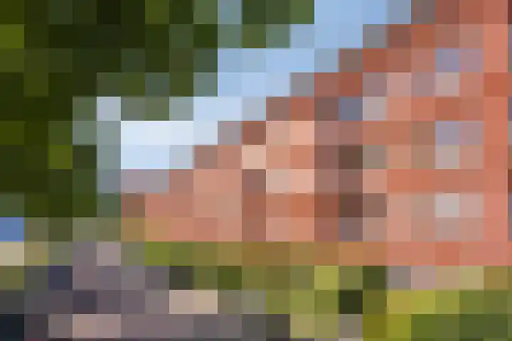 Burgemeester Jhr. Quarles van Uffordlaan 511 Apeldoorn thumbnail 43