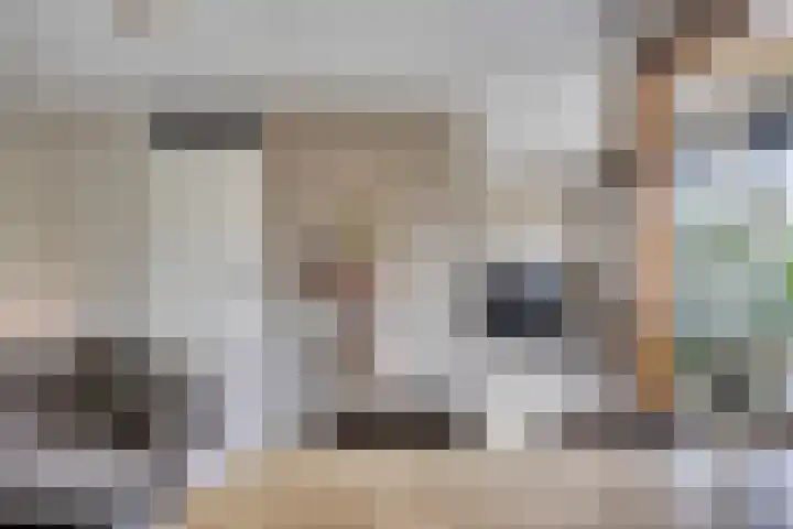 Burgemeester Jhr. Quarles van Uffordlaan 511 Apeldoorn thumbnail 7