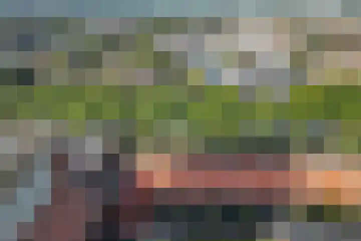 Burgemeester Jhr. Quarles van Uffordlaan 571 Apeldoorn thumbnail 34