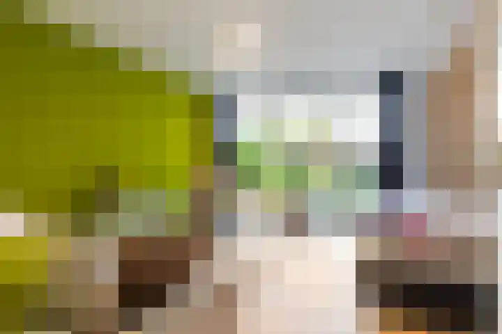 Burgemeester Jhr. Quarles van Uffordlaan 571 Apeldoorn thumbnail 9