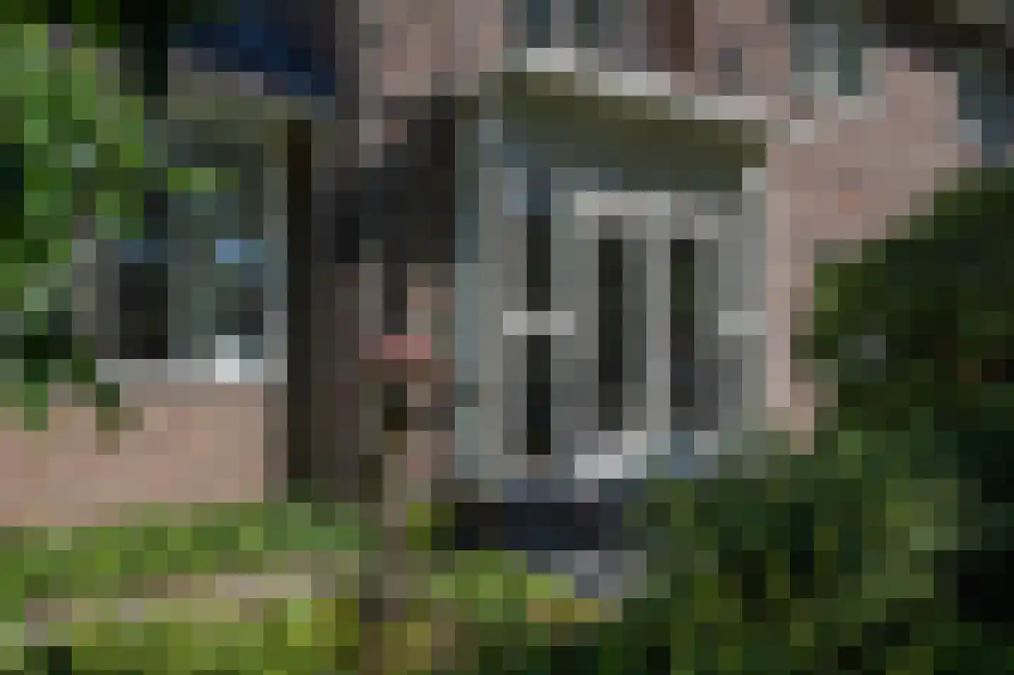 Burgemeester Jollesstraat 6 Assen thumbnail 12