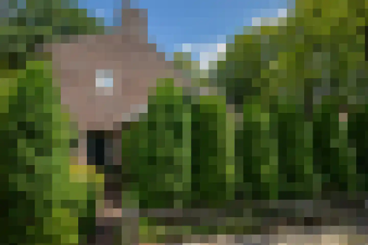Burgemeester Jollesstraat 6 Assen thumbnail 16