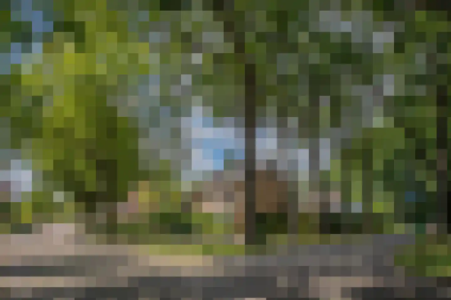 Burgemeester Jollesstraat 6 Assen thumbnail 8