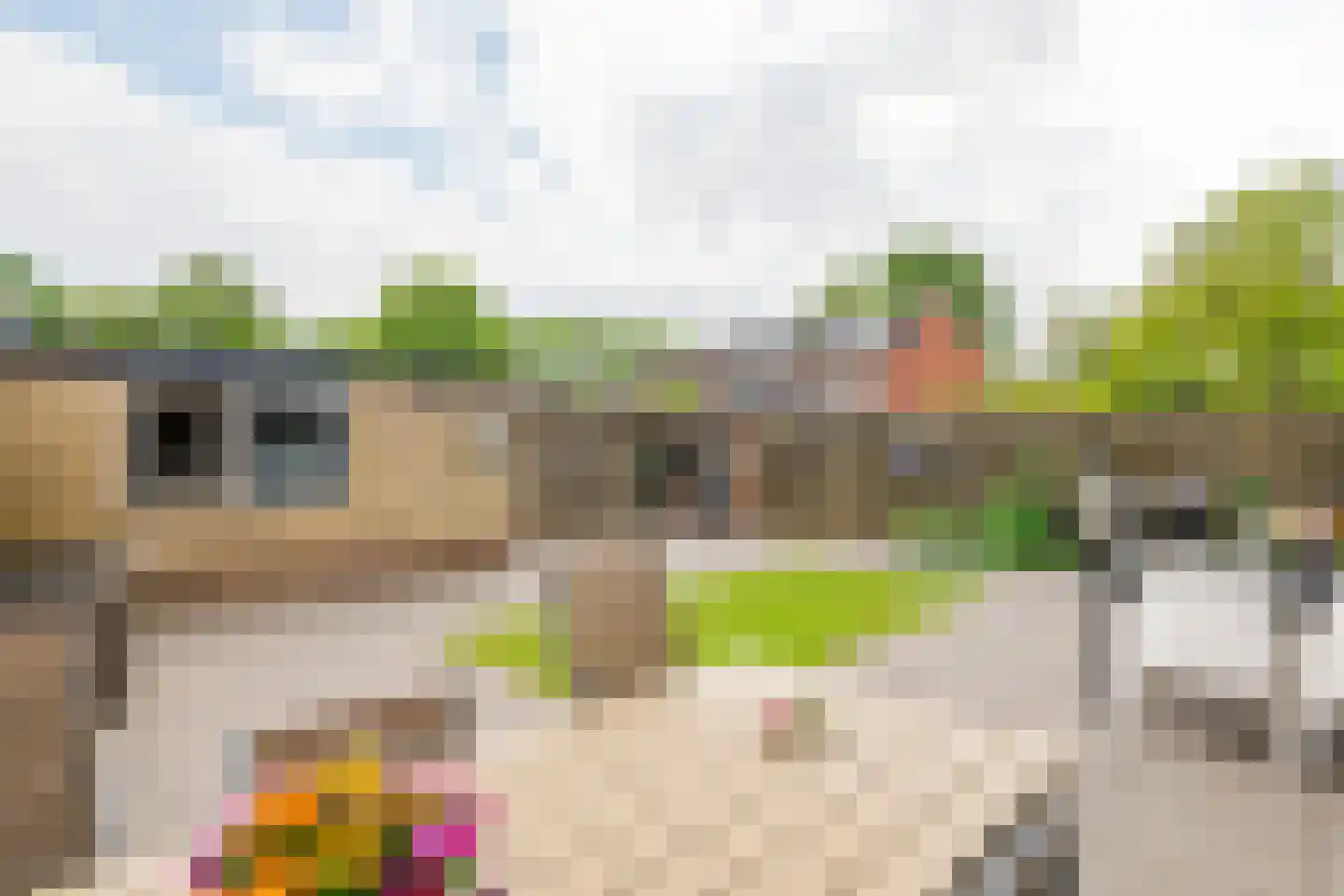 Burgemeester Jonkersstraat 5 Beesd thumbnail 29