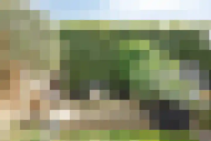 Burgemeester-Joostenlaan 15 Wessem thumbnail 23