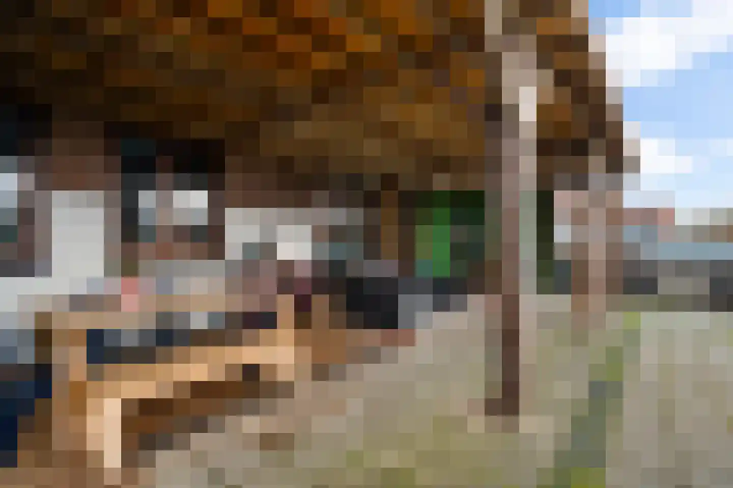 Burgemeester-Joostenlaan 4 Wessem thumbnail 37
