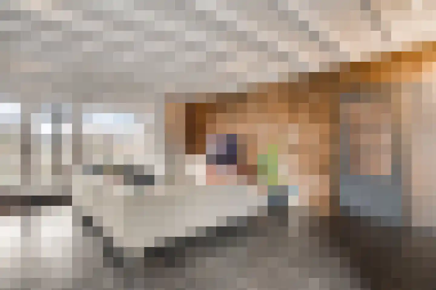 Burgemeester-Joostenlaan 4 Wessem thumbnail 6