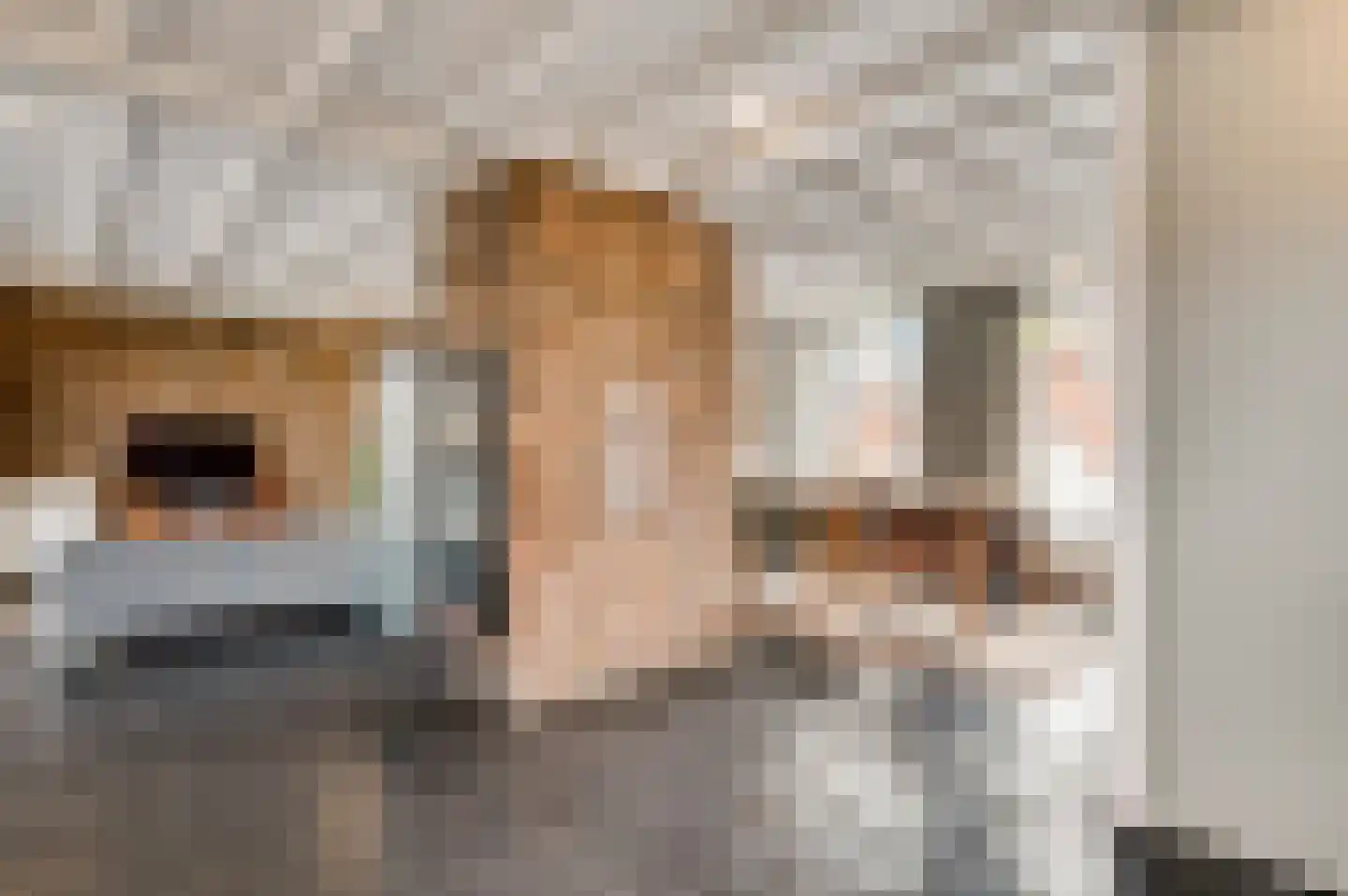 Burgemeester-Joostenlaan 4 Wessem thumbnail 8