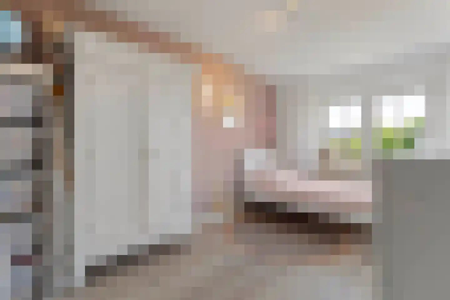 Burgemeester Junckersstraat 11 Venlo thumbnail 28