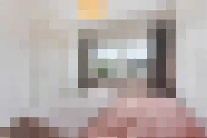 Burgemeester Jur. Visserlaan 20 Naarden thumbnail 18
