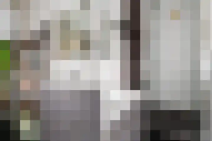 Burgemeester Jur. Visserlaan 32 Naarden thumbnail 13