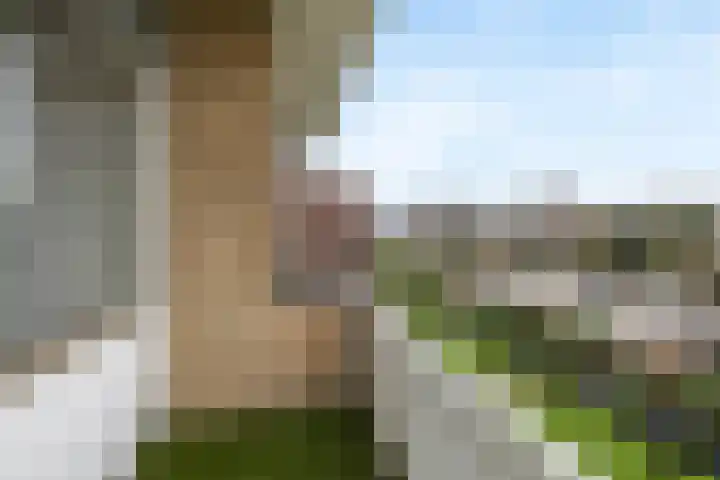 Burgemeester Jur. Visserlaan 44 Naarden thumbnail 17