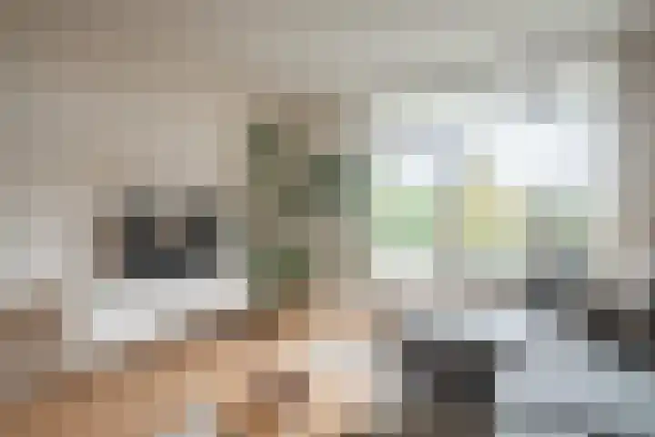 Burgemeester Jur. Visserlaan 74 Naarden thumbnail 10