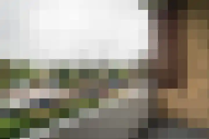 Burgemeester Jur. Visserlaan 74 Naarden thumbnail 11