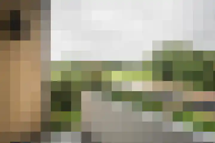 Burgemeester Jur. Visserlaan 74 Naarden thumbnail 12