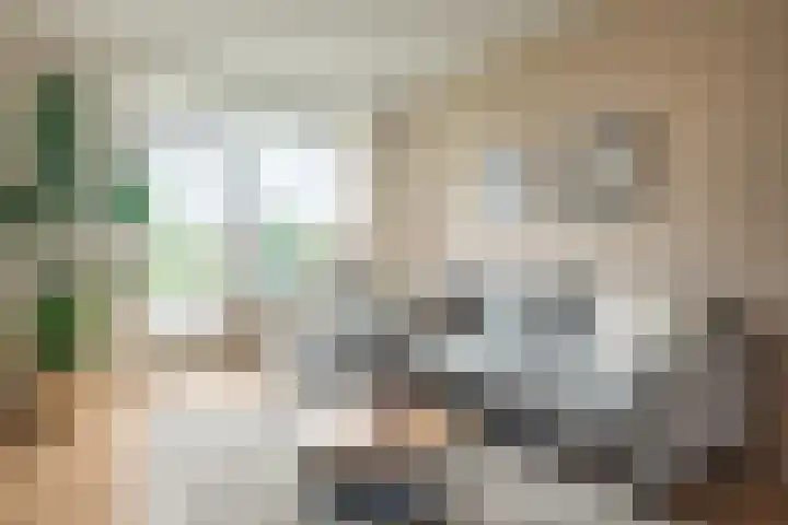 Burgemeester Jur. Visserlaan 74 Naarden thumbnail 13