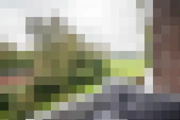 Burgemeester Jur. Visserlaan 74 Naarden thumbnail 19