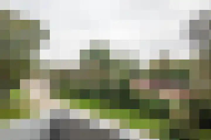 Burgemeester Jur. Visserlaan 74 Naarden thumbnail 21