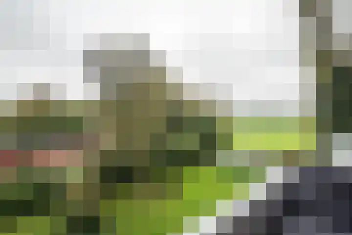 Burgemeester Jur. Visserlaan 74 Naarden thumbnail 22