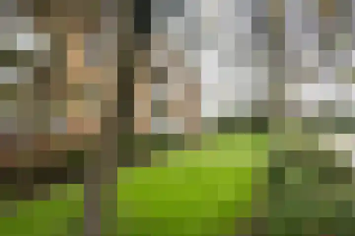 Burgemeester Jur. Visserlaan 74 Naarden thumbnail 31