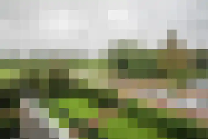 Burgemeester Jur. Visserlaan 74 Naarden thumbnail 33