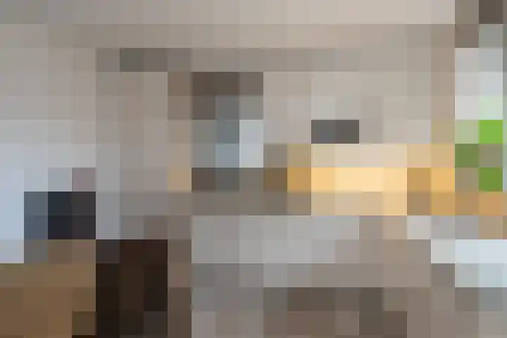 Burgemeester Kampschöerstraat 10 B Monster thumbnail 11