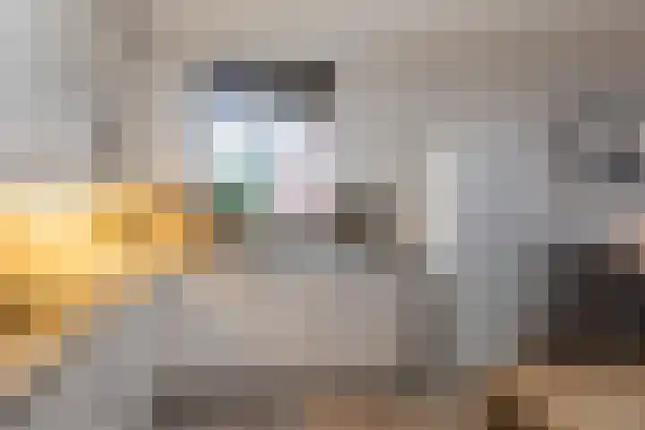 Burgemeester Kampschöerstraat 10 B Monster thumbnail 12