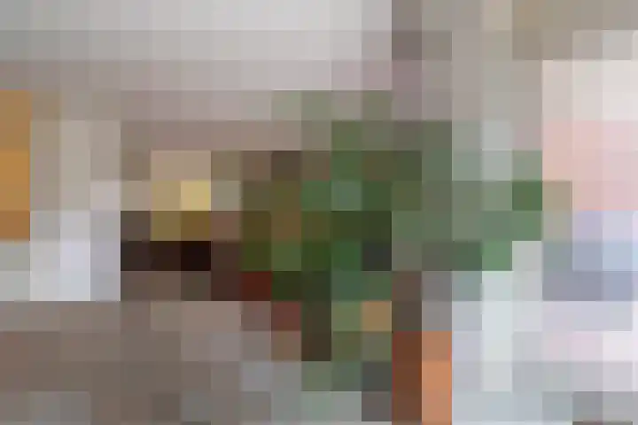 Burgemeester Kampschöerstraat 10 B Monster thumbnail 20