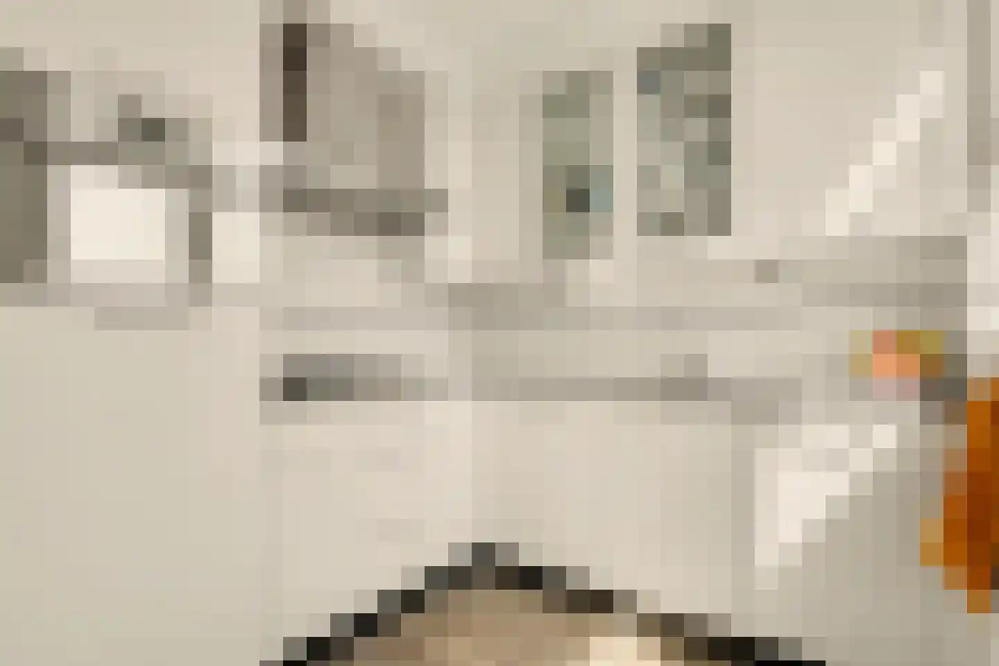 Burgemeester Kampschöerstraat 15 Monster thumbnail 8