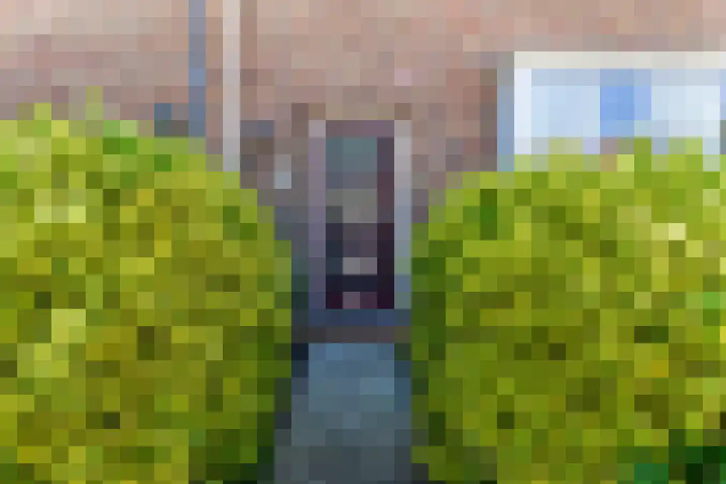 Burgemeester Kampschöerstraat 21 Monster thumbnail 7