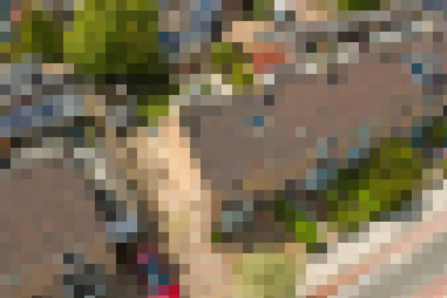 Burgemeester Kampschöerstraat 55 Monster thumbnail 38
