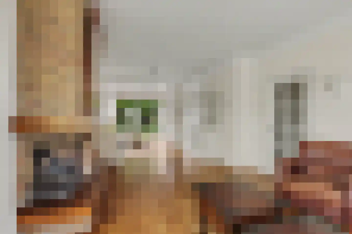 Burgemeester Kampschöerstraat 55 Monster thumbnail 7