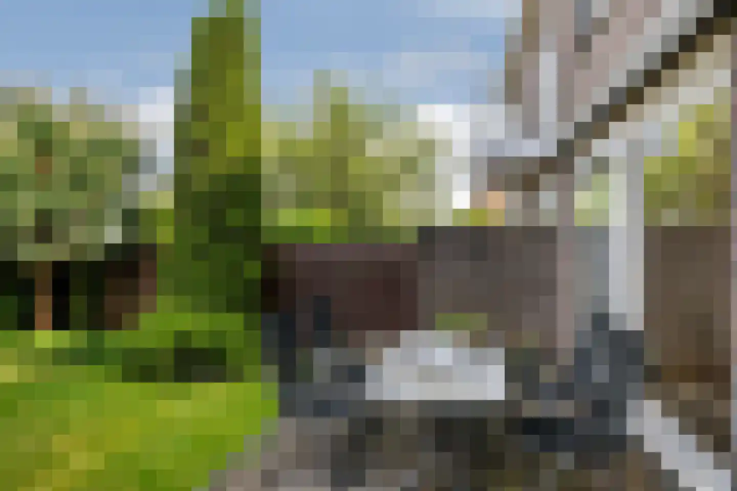 Burgemeester Kampschöerstraat 70 Monster thumbnail 10
