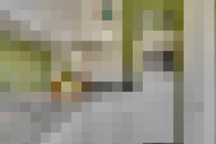 Burgemeester Keestrasingel 5 Culemborg thumbnail 17