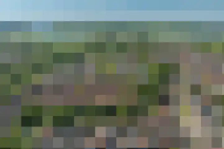 Burgemeester Keestrasingel 5 Culemborg thumbnail 38
