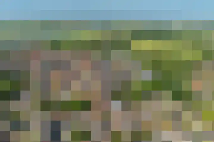 Burgemeester Keestrasingel 5 Culemborg thumbnail 39
