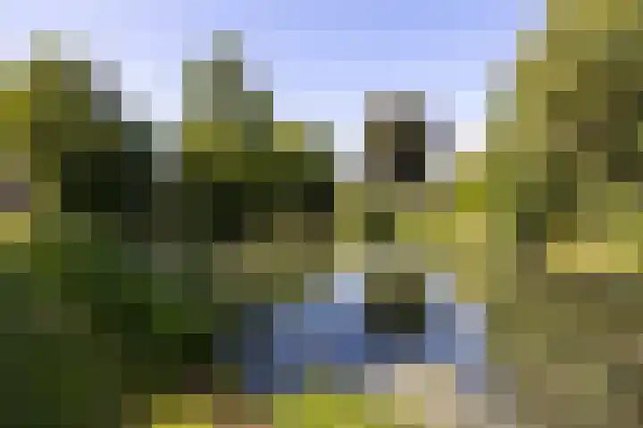 Burgemeester Keestrasingel 5 Culemborg thumbnail 4