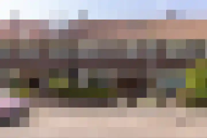 Burgemeester Keestrasingel 5 Culemborg thumbnail 5