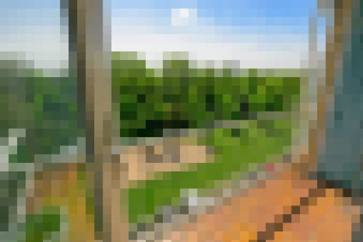Burgemeester Keijzerlaan 109 Leidschendam thumbnail 4